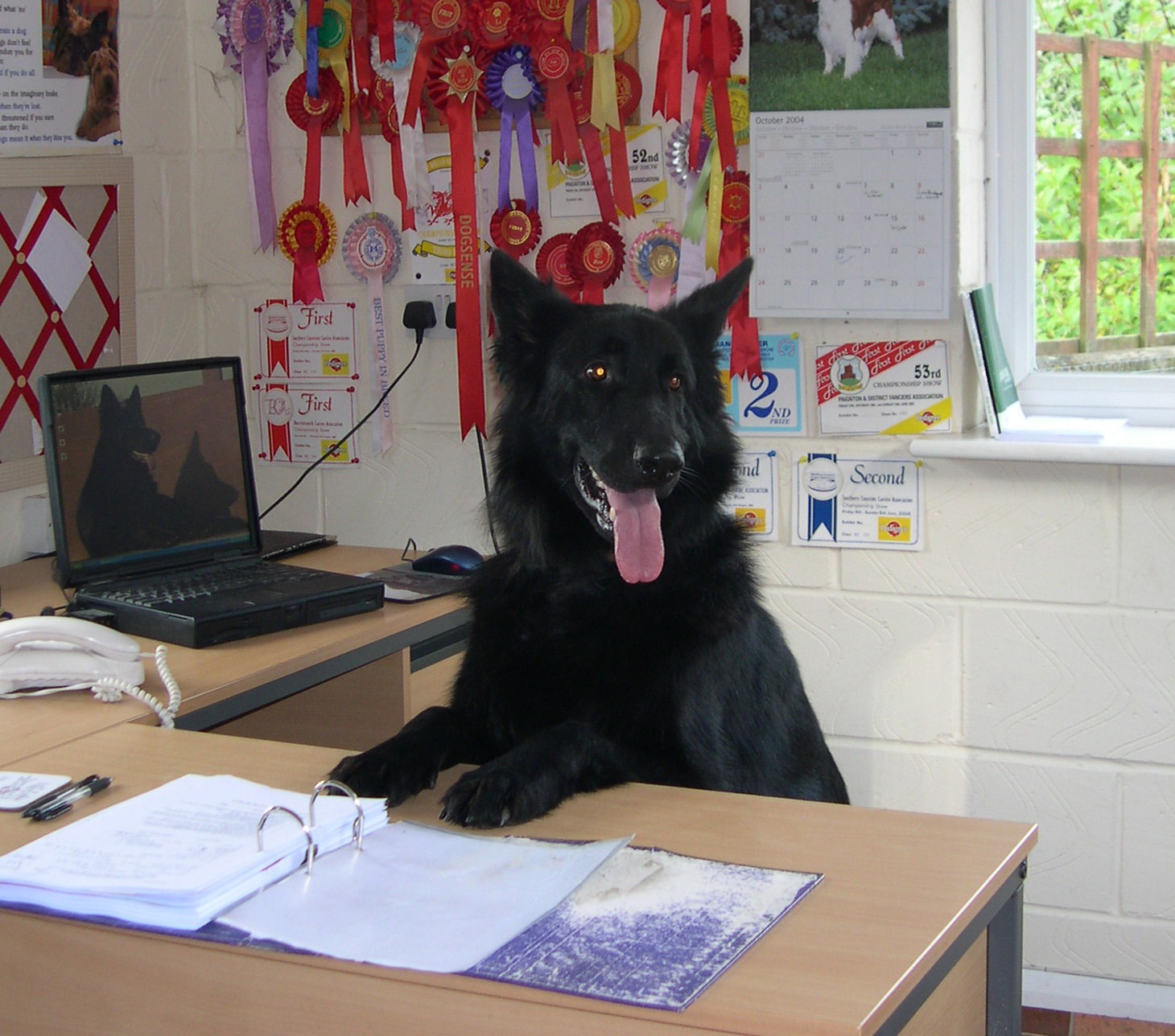Otford Boarding Kennels